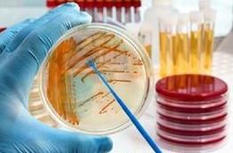 Ilustracja do pytania