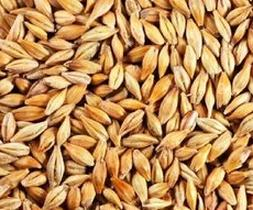 Ilustracja do pytania