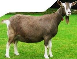 Ilustracja do pytania