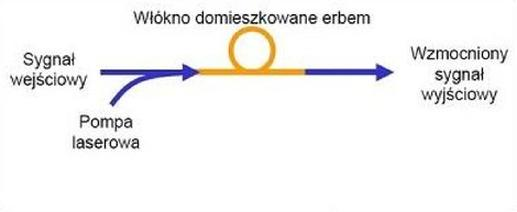 Ilustracja do pytania 25