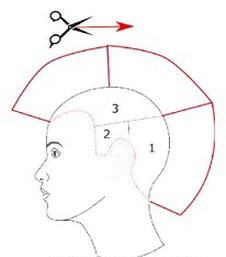 Ilustracja do pytania