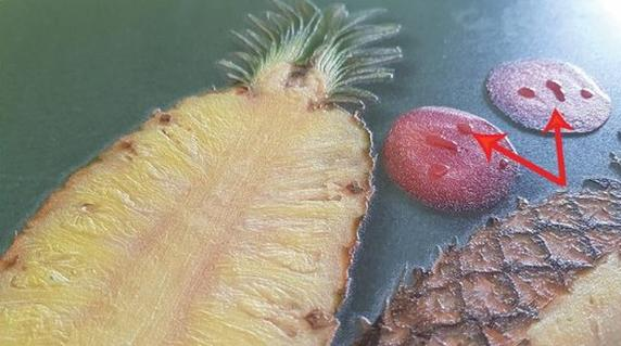 Ilustracja do pytania 36