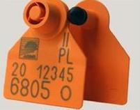 Ilustracja do pytania 35