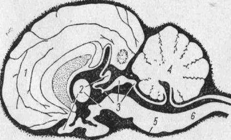 Ilustracja do pytania