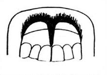 Ilustracja do pytania 39