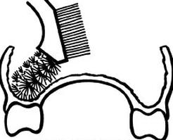 Ilustracja do pytania 33