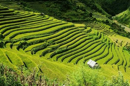 Ilustracja do pytania 4