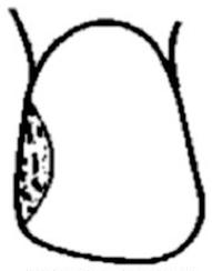 Ilustracja do pytania 24