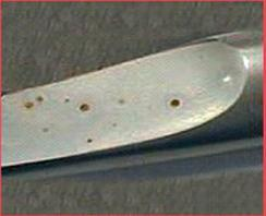 Ilustracja do pytania 2