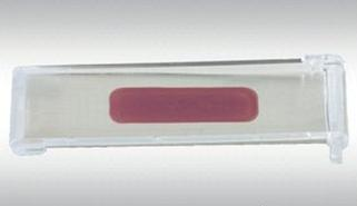 Ilustracja do pytania 10