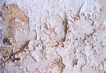 Ilustracja do pytania 10