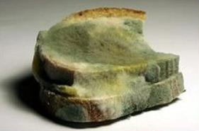 Ilustracja do pytania 22