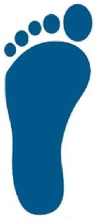 Ilustracja do pytania 15