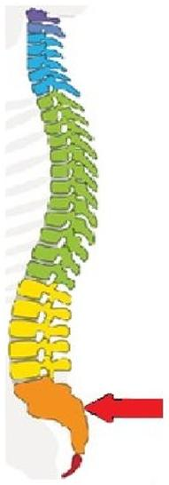 Ilustracja do pytania 15