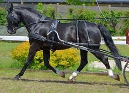 Ilustracja do pytania