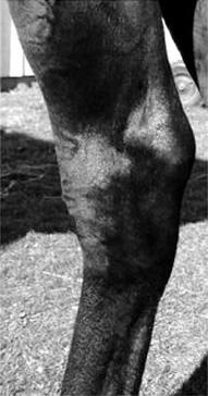 Ilustracja do pytania 5