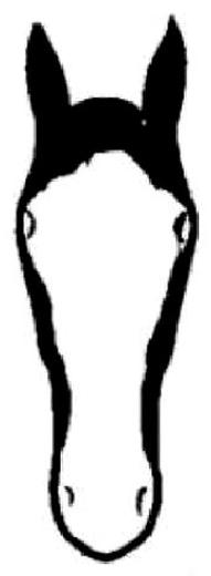 Ilustracja do pytania 24