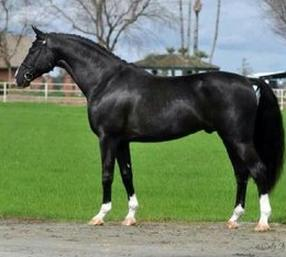 Ilustracja do pytania 8