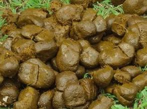 Ilustracja do pytania