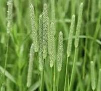 Ilustracja do pytania 30