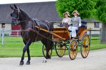 Ilustracja do pytania 20