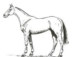 Ilustracja do pytania 33