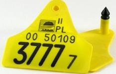 Ilustracja do pytania 20