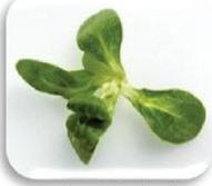 Ilustracja do pytania 32