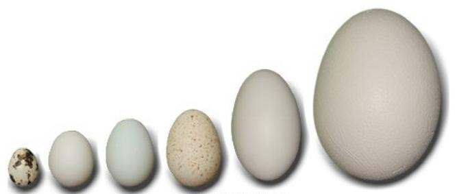 Ilustracja do pytania 5