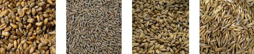 Ilustracja do pytania 23