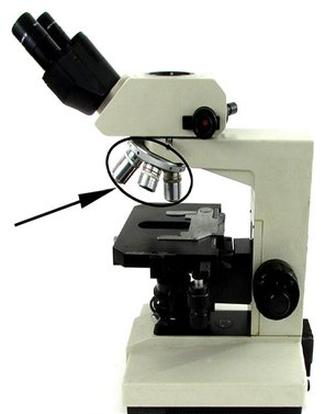 Ilustracja do pytania 24