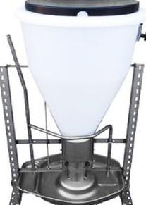 Ilustracja do pytania 25