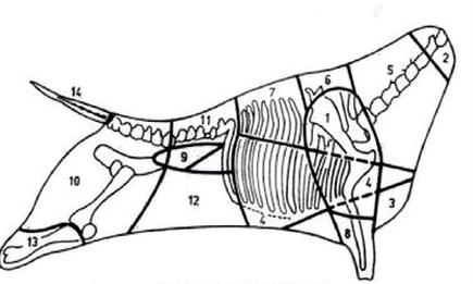 Ilustracja do pytania z kwalifikacji SPC.04