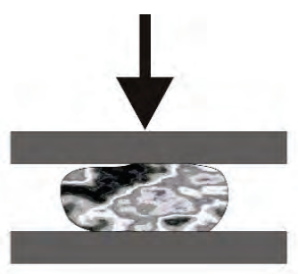 Ilustracja do pytania 40