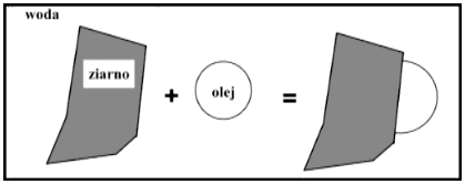 Ilustracja do pytania 22
