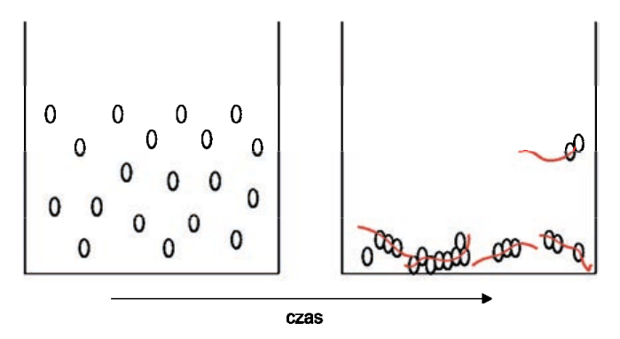 Ilustracja do pytania 30