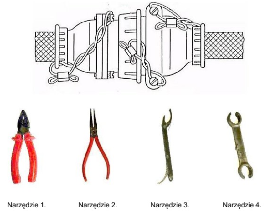 Ilustracja do pytania 12