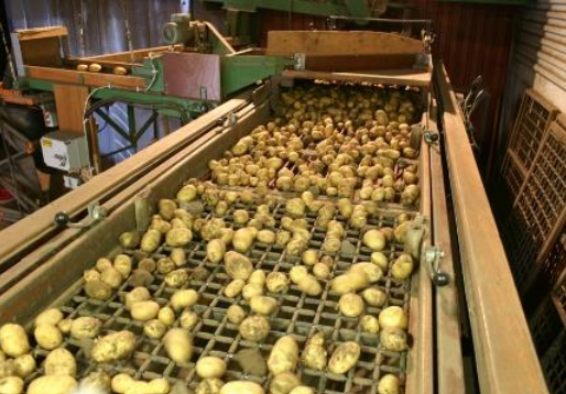 Ilustracja do pytania 13