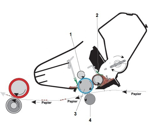 Ilustracja do pytania 15
