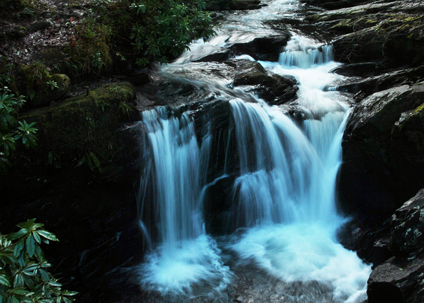 Ilustracja do pytania 35