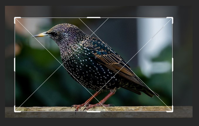 Ilustracja do pytania 19