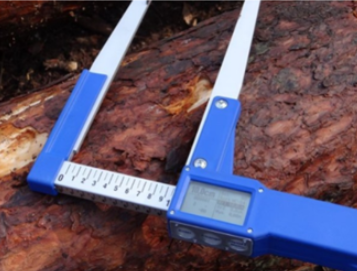 Ilustracja do odpowiedzi C