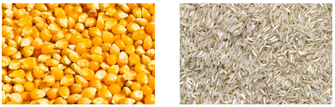 Ilustracja do pytania