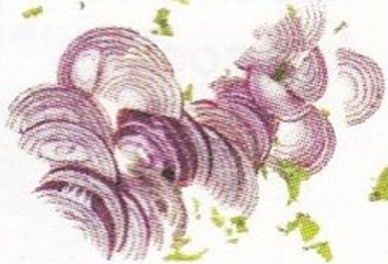 Ilustracja do pytania 15