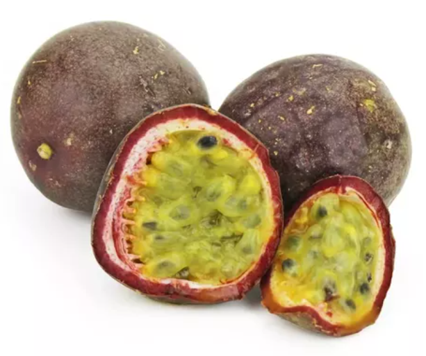 Ilustracja do pytania 11