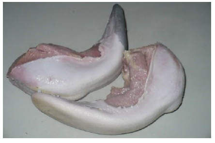 Ilustracja do pytania