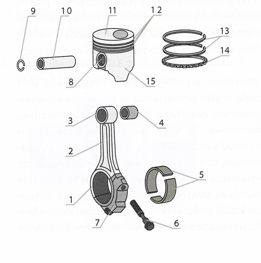 Ilustracja do pytania 33