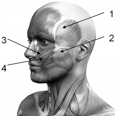 Ilustracja do pytania 18