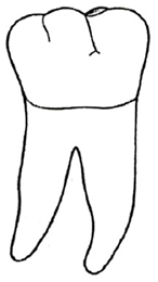 Ilustracja do pytania 32