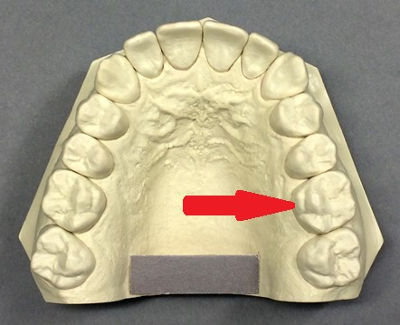 Ilustracja do pytania 38